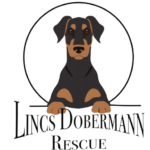 Lincs Doberman Rescue new clothing logo