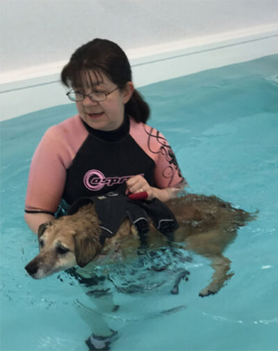 A dog in a hydrotherapy pool