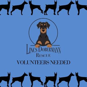 Poster appealing for volunteers