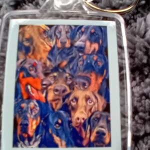 front view of Lincs Dobermann Recsue keyring