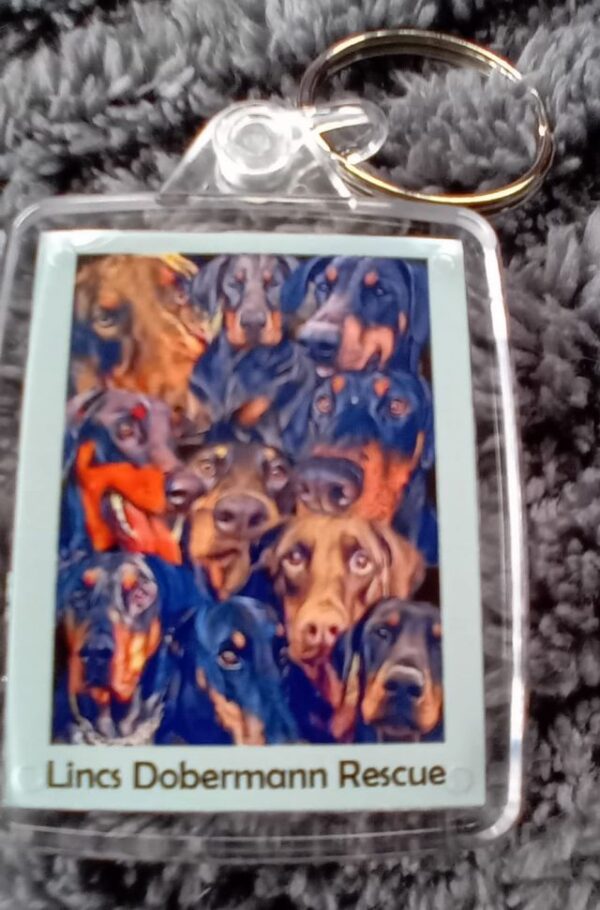 front view of Lincs Dobermann Recsue keyring