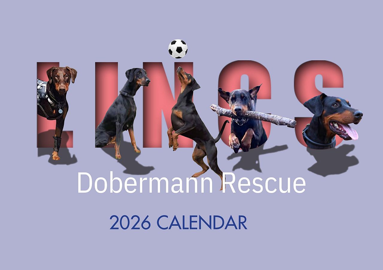 2026 Calendar